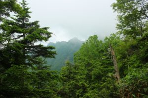 コルの向かいには、切り立った第7座鋸山山頂