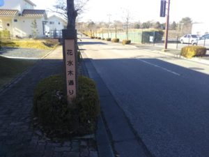 街路樹と通り