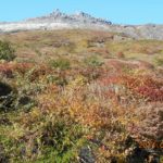 Thumbnail of post image 023