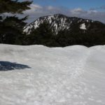Thumbnail of post image 088