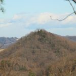 Thumbnail of post image 156