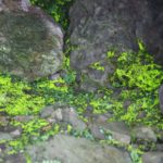 Thumbnail of post image 175