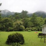 Thumbnail of post image 148