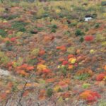 Thumbnail of post image 084