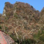 Thumbnail of post image 134