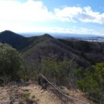 Thumbnail of post image 064